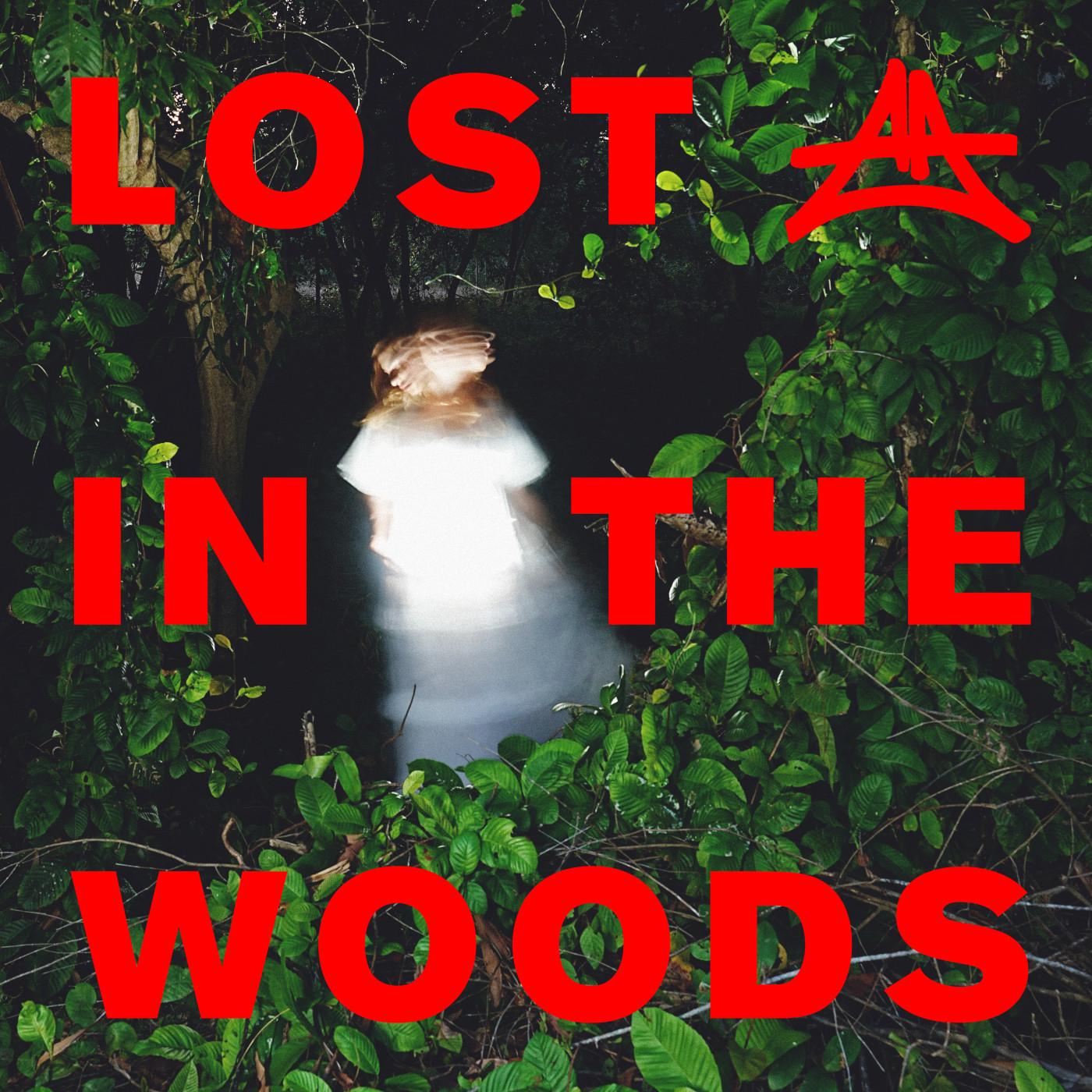 Lost In The Woods