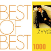 BEST OF BEST 1000 ZYYG专辑