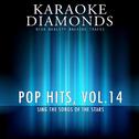 Pop Hits, Vol. 14专辑