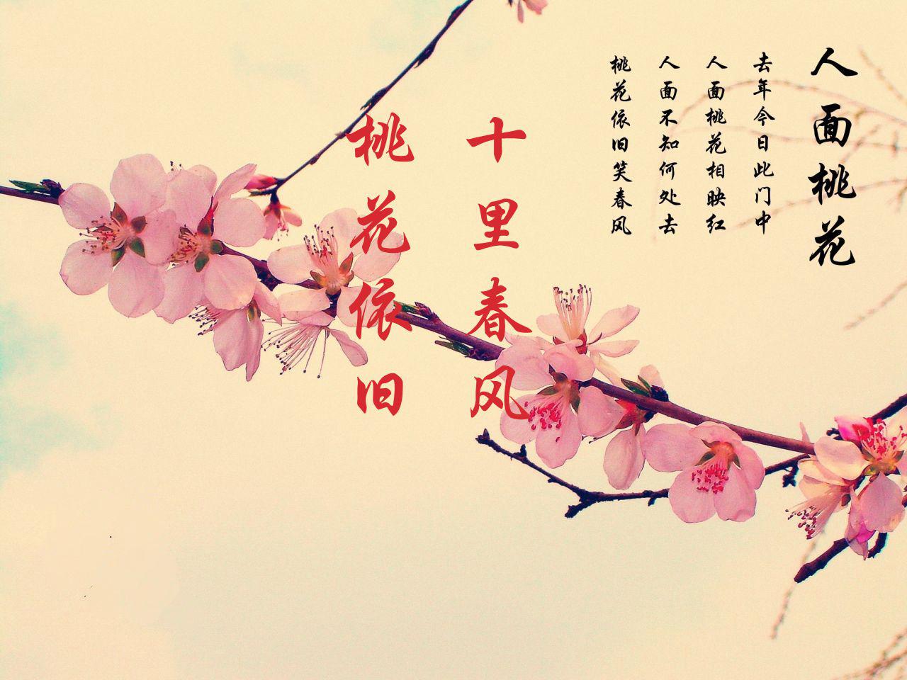 桃花的花语传说图片