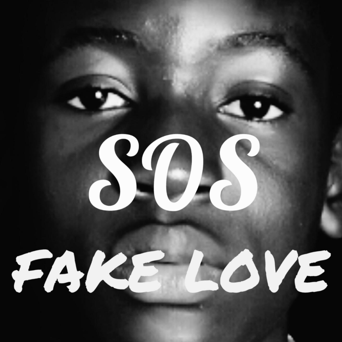 Fake Love