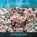 Earth Tones - Healing Sanctuary