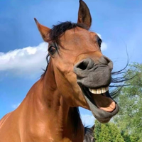 [DJ节目]平潭DJ阿星的DJ节目 第6221期