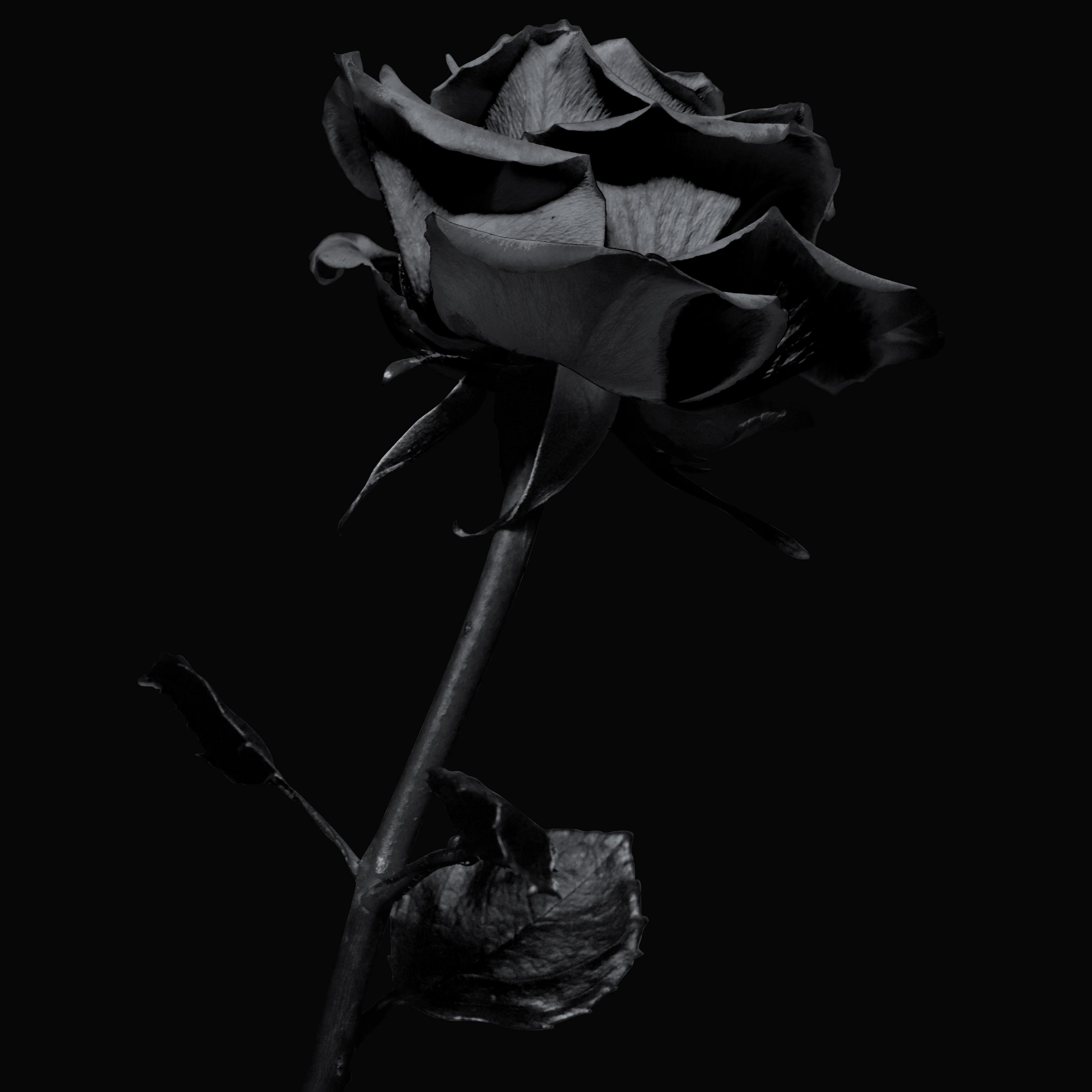 [FREE]“肮脏”Dark Drill Type Beat