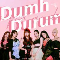 Apink - Dumhdurum 无和声伴奏