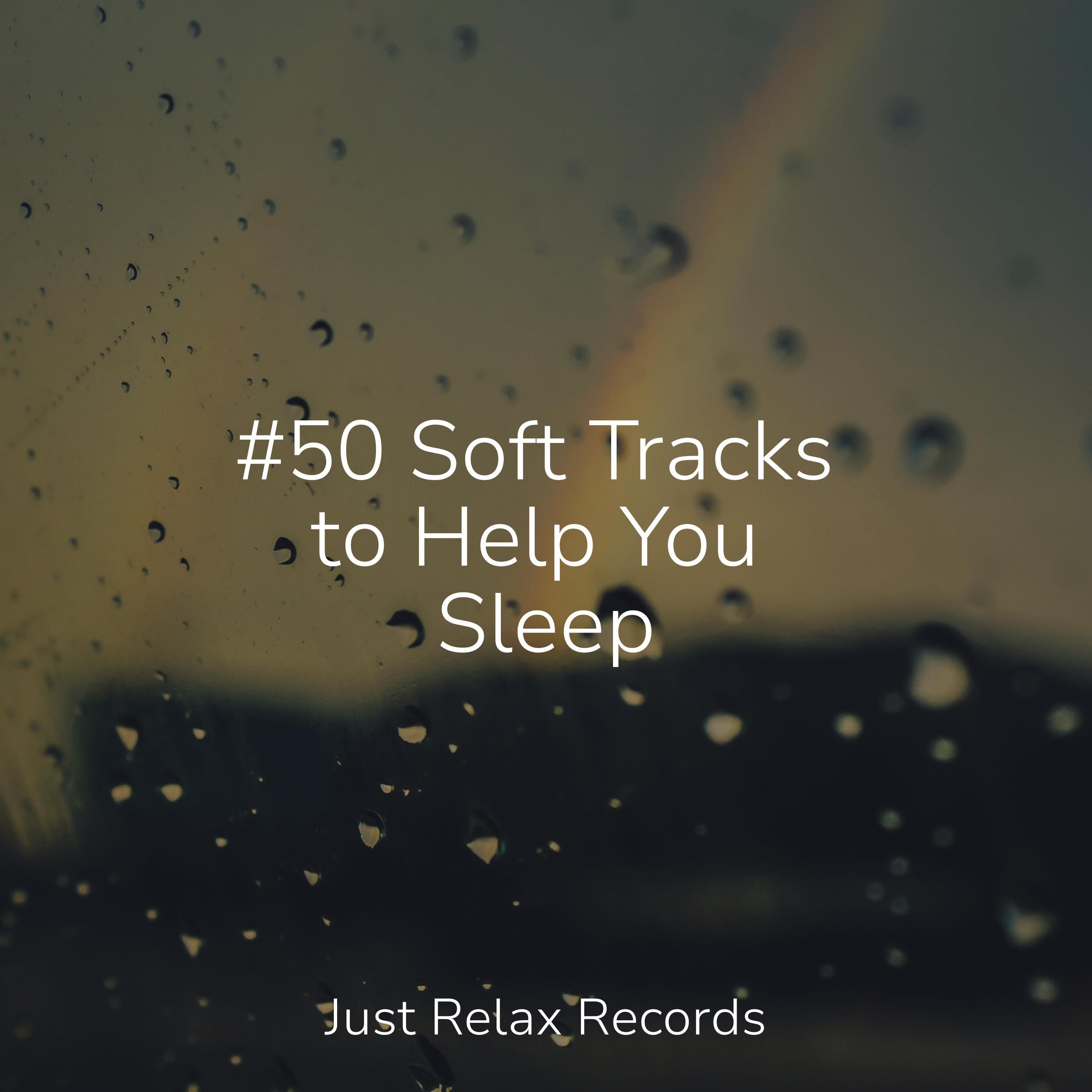 Soft Track #50 Soft Tracks to Help You Sleep - Exam Study Classical Music - 专辑 - 网易云音乐
