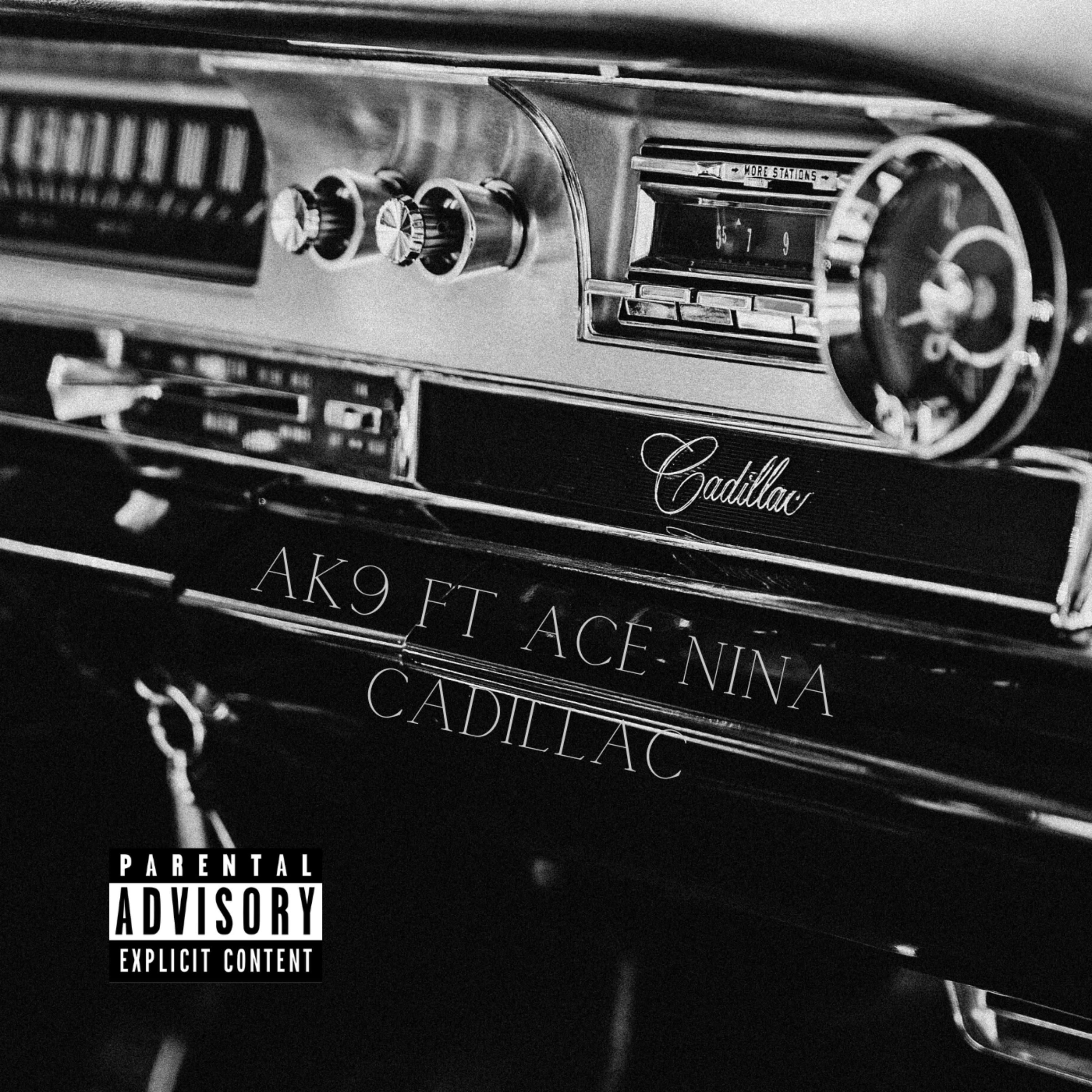 AK9 - CADI