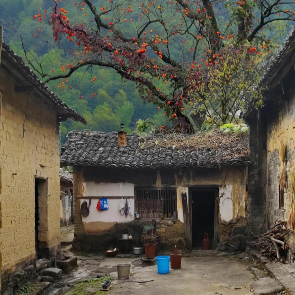 民谣 | 孤独旅途间的艺术生活
