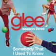 Somebody That I Used To Know (Glee Cast Version)