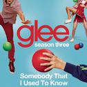 Somebody That I Used To Know (Glee Cast Version)专辑