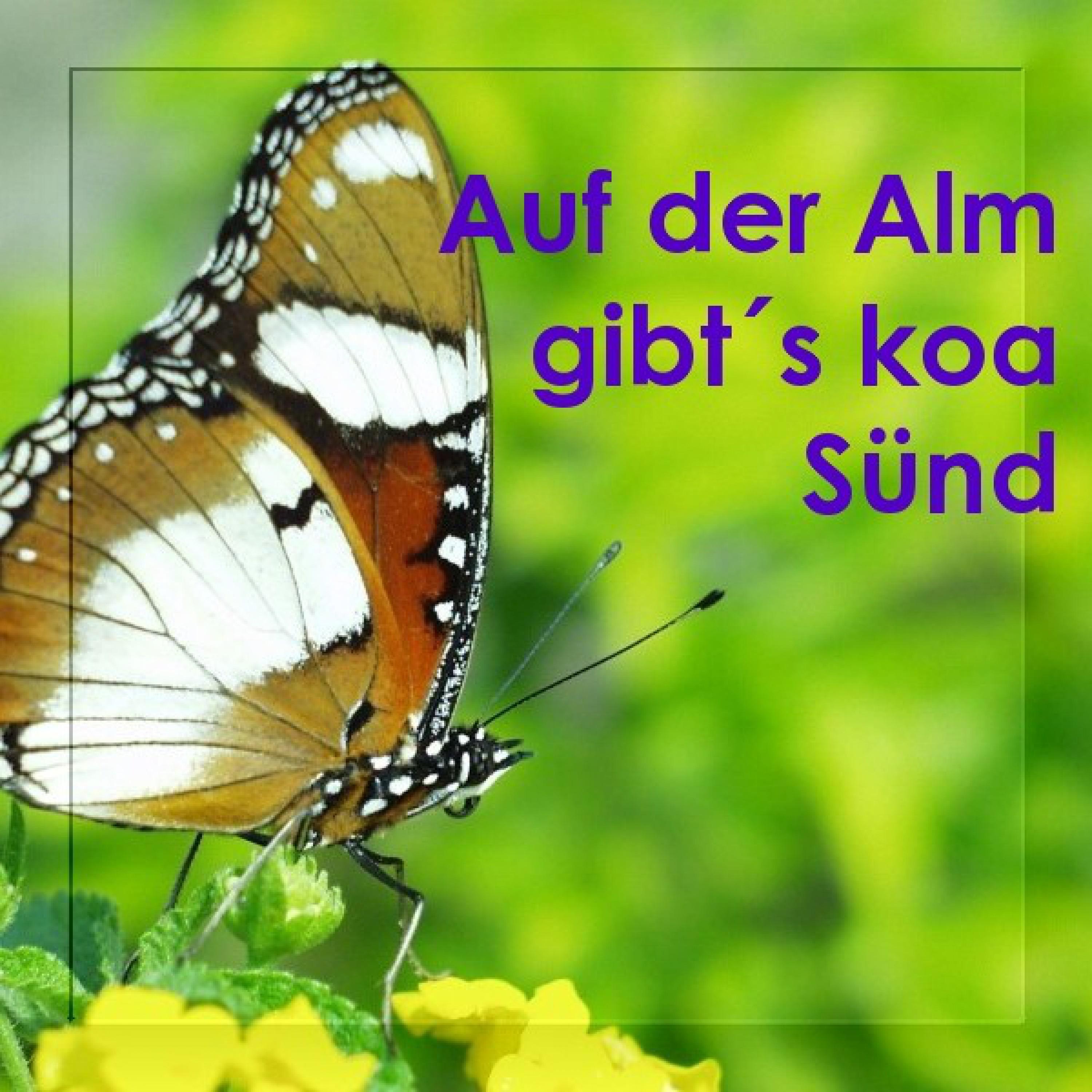 Auf Der Alm Gibt's Koa Sünd - Echte Volksmusik - Bayern - Bavaria