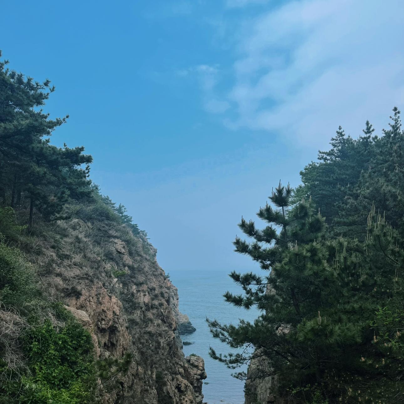 只收录最好的说唱提升品味必听拒绝烂歌 | 在线播放 | 网易云音乐