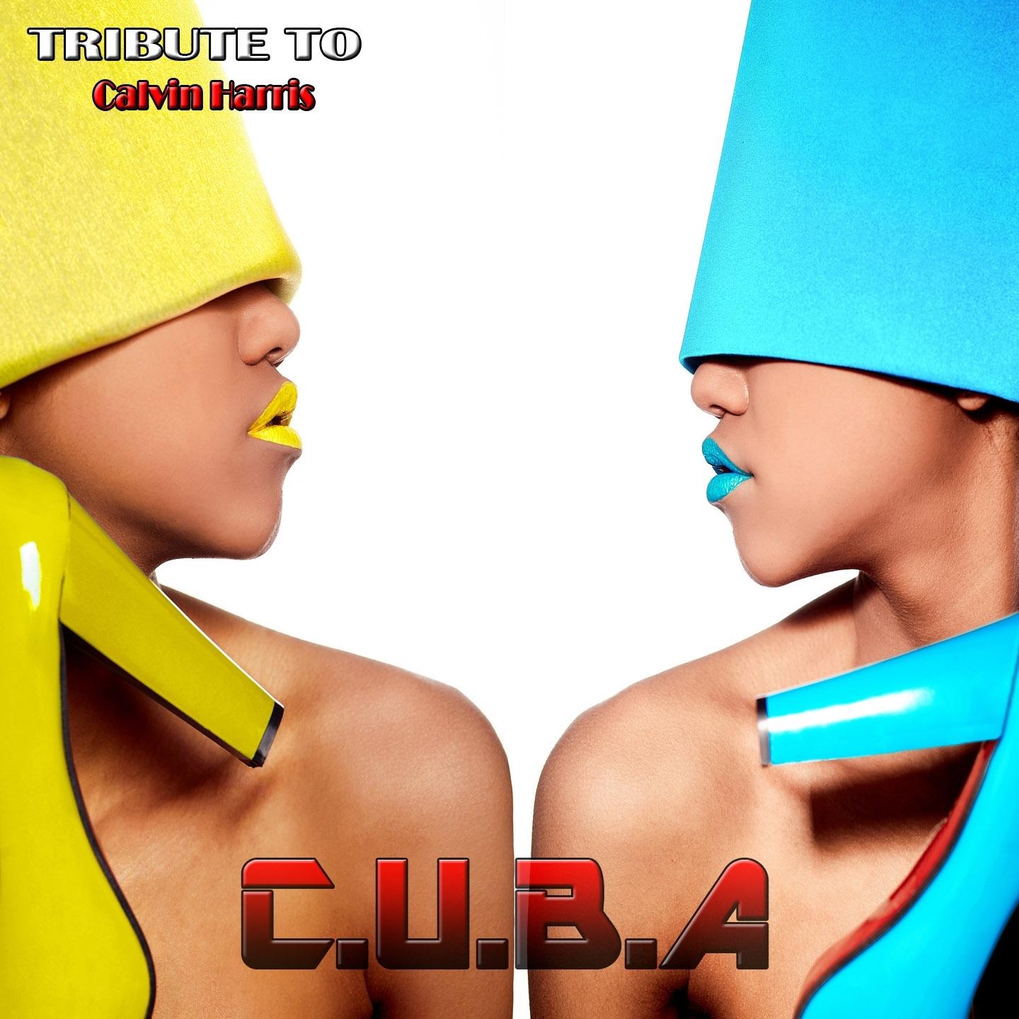 C.U.B.A (Synth Version)