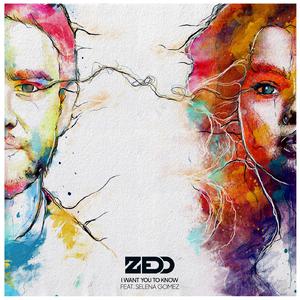 Zedd feat. Selena Gomez - I Want You To Know (Matt Nevin Extended Mix) （降1半音）