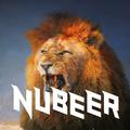 NUBEER