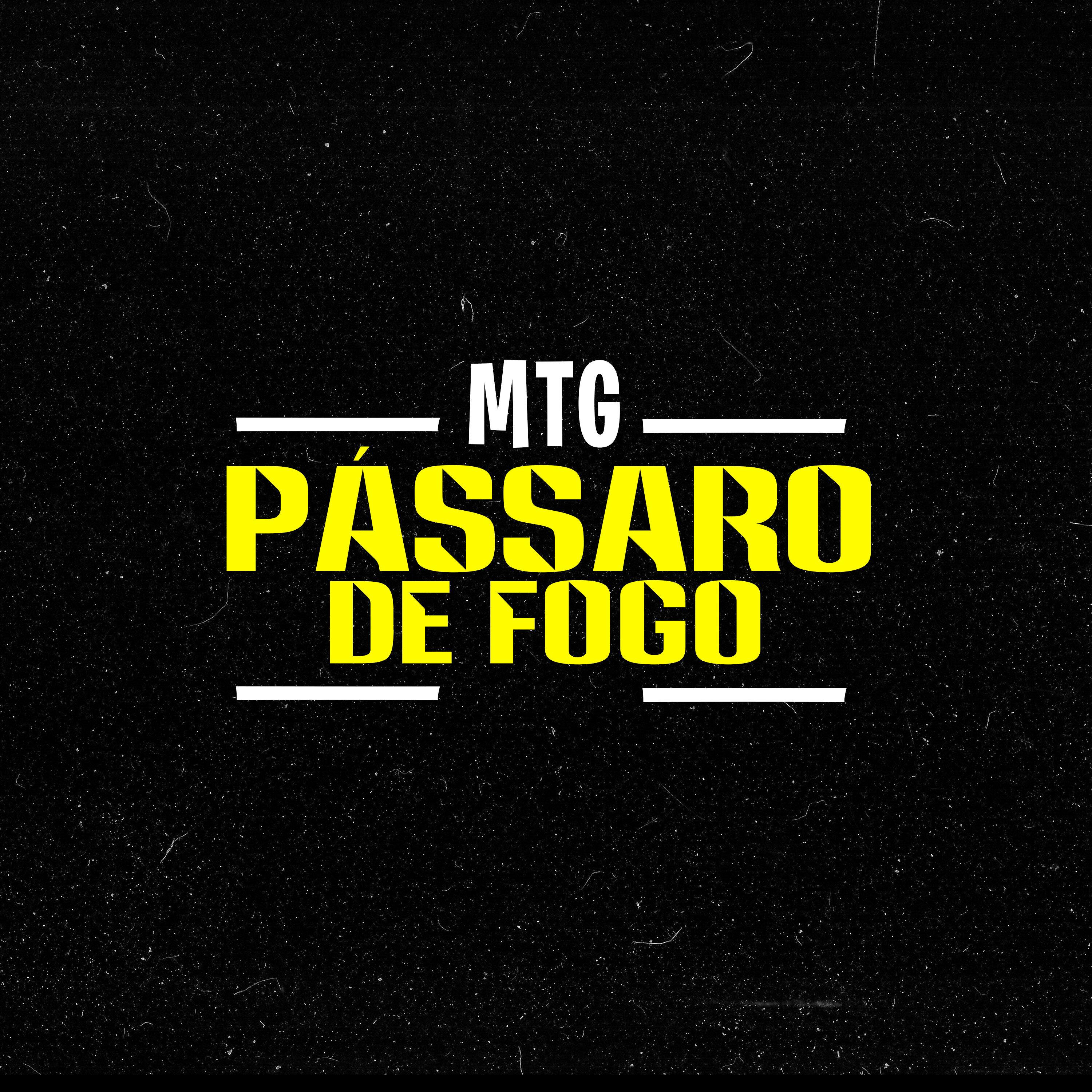 Vitinho Na Base - Mtg Pássaro de Fogo (Remix Funk)