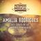 Les idoles de la musique portugaise : Amália Rodrigues, Vol. 1专辑