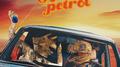 Retro Petrol专辑