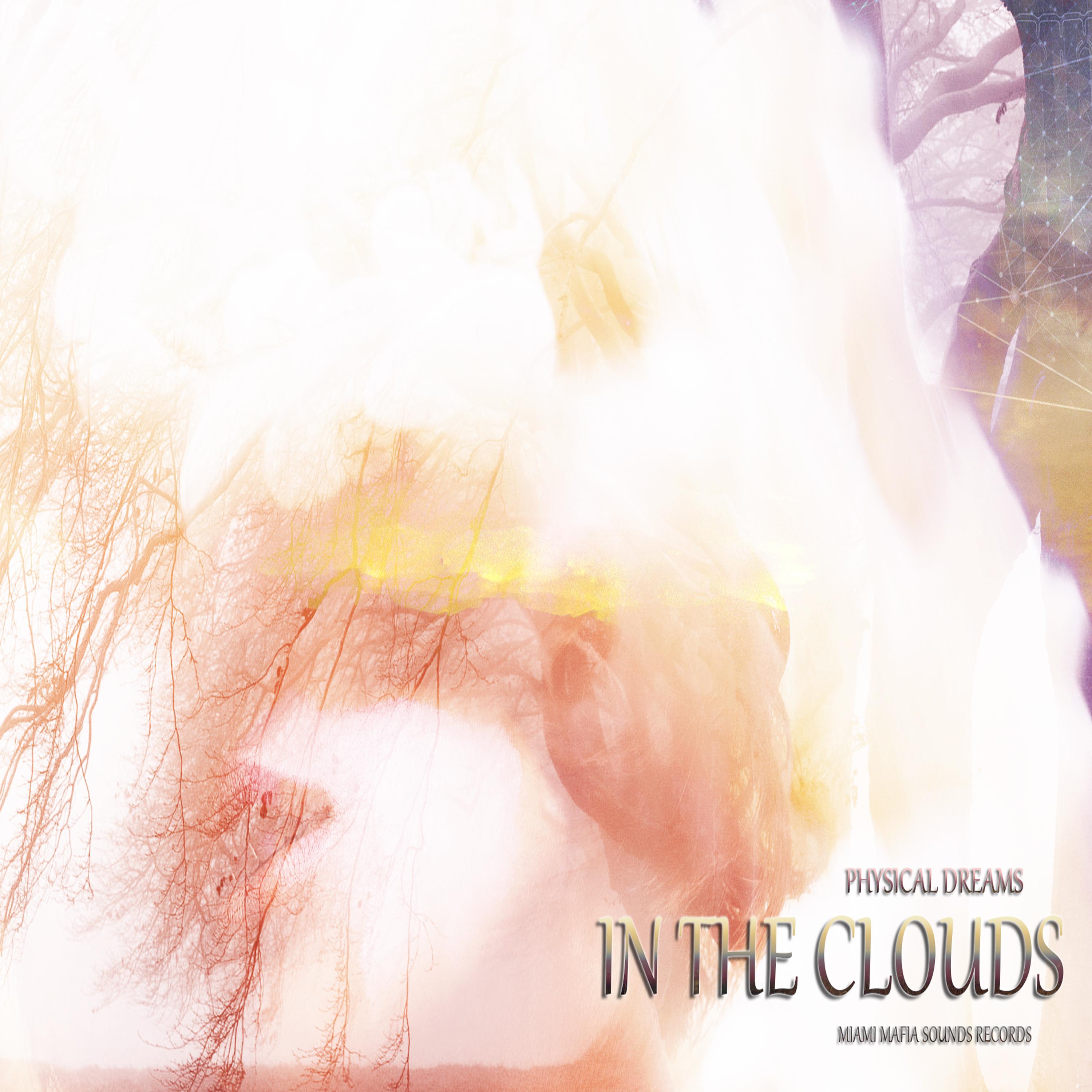 In the Clouds