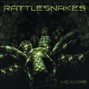 Rattlesnakes专辑