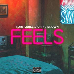 Feels - Tory Lanez & Chris Brown (BB Instrumental) 无和声伴奏 （降6半音）