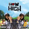 DigDat - How High