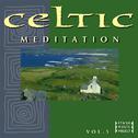 Celtic Meditation Vol. 5专辑