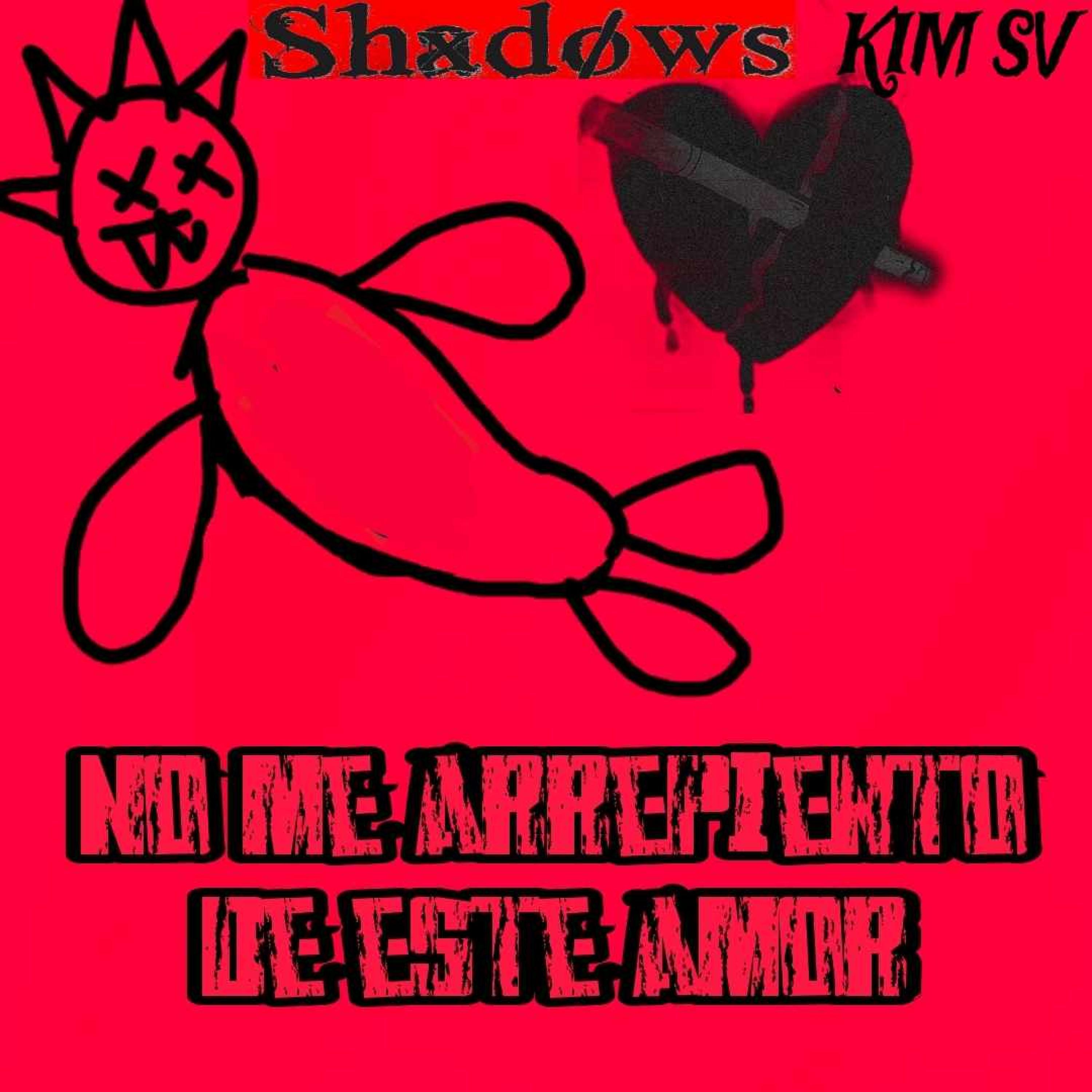 Shadows - No me arrepiento de este amor