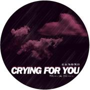 正在为你哭泣(Crying For You)