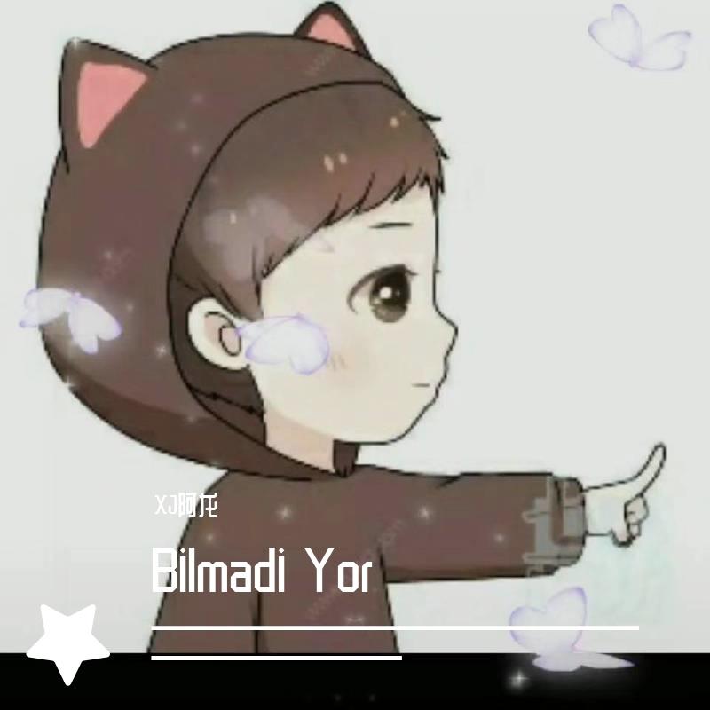 Bilmadi Yor