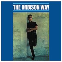 Roy Orbison - Breakin Up Is Breakin My Heart (karaoke)