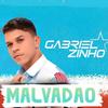 Gabrielzinho - Tu Tem a Cara de Quem Vai Fuder Minha Vida