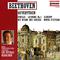 BEETHOVEN, L. van: Overtures (Stuttgart Radio Symphony, Marriner)专辑