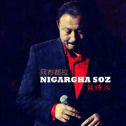 Nigarga soz《致情人》2011