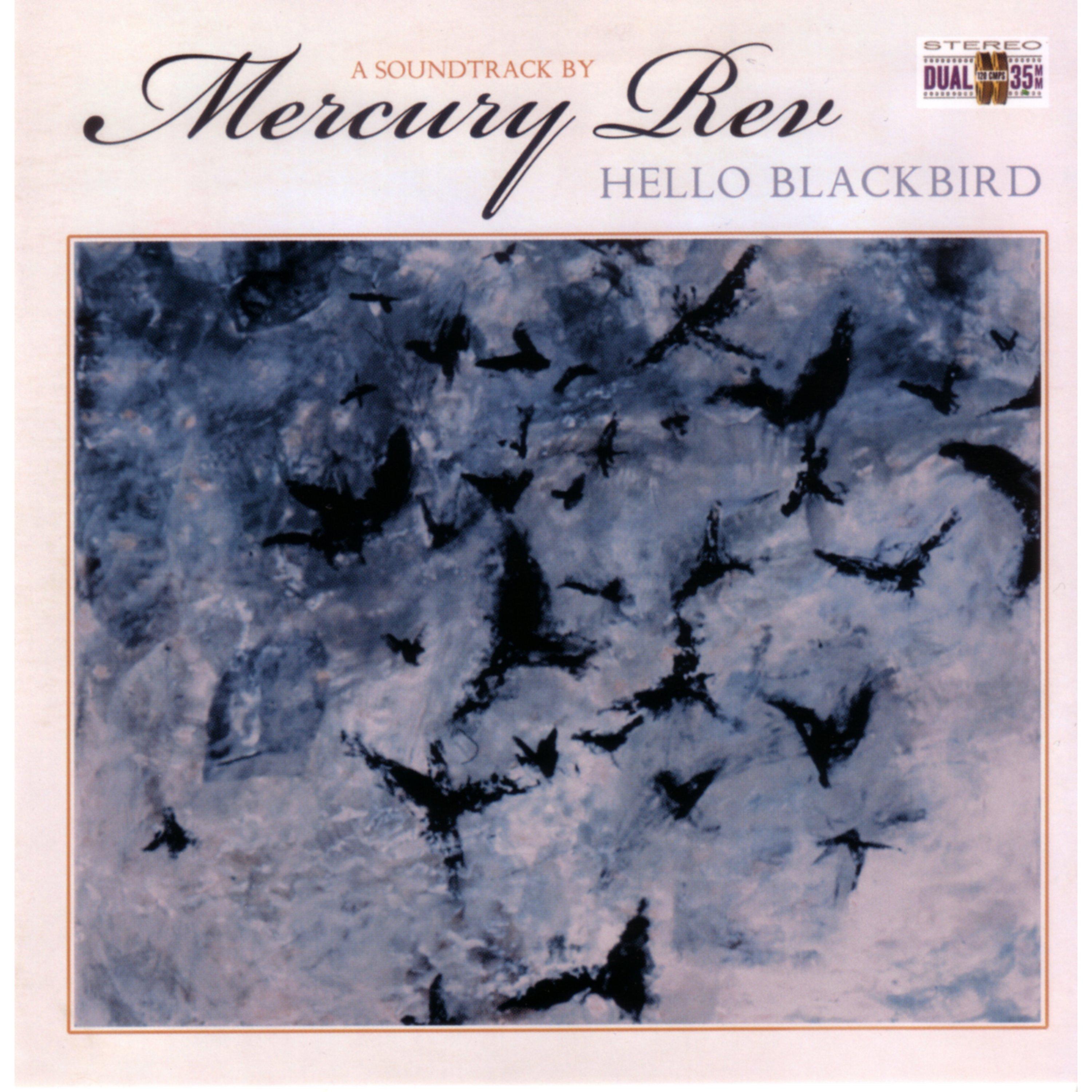 Hello Blackbird