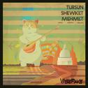 Tursun · Shewket · Mehmet专辑