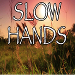 Slow Hands - Tribute to Niall Horan专辑