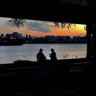 月亮不睡你不睡 你是秃头小宝贝