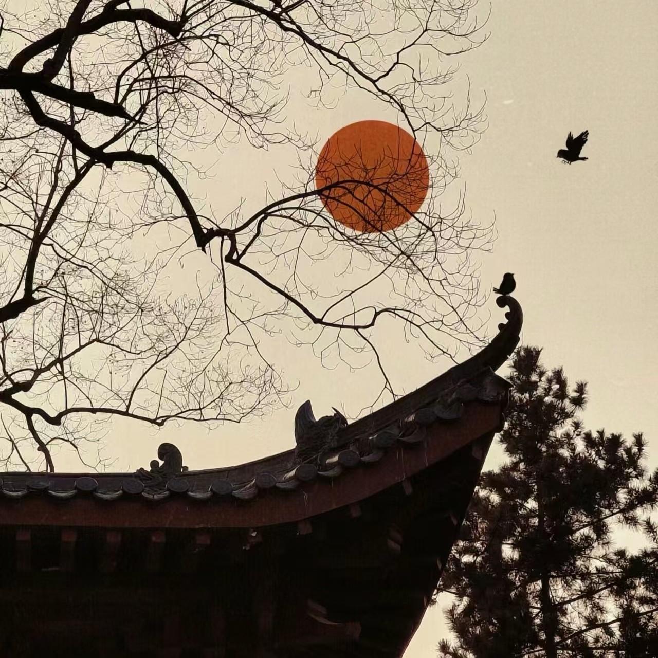 旧忆灼梦