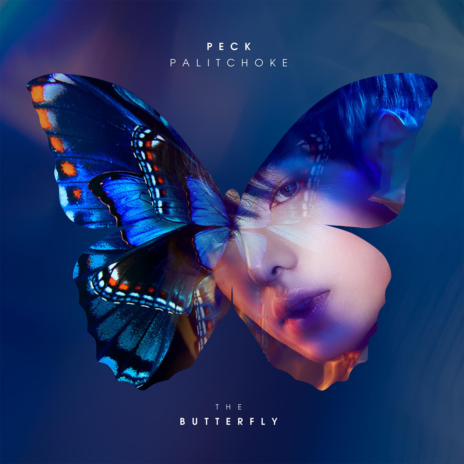 THE BUTTERFLY