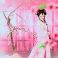 国语经典歌曲系列（二）