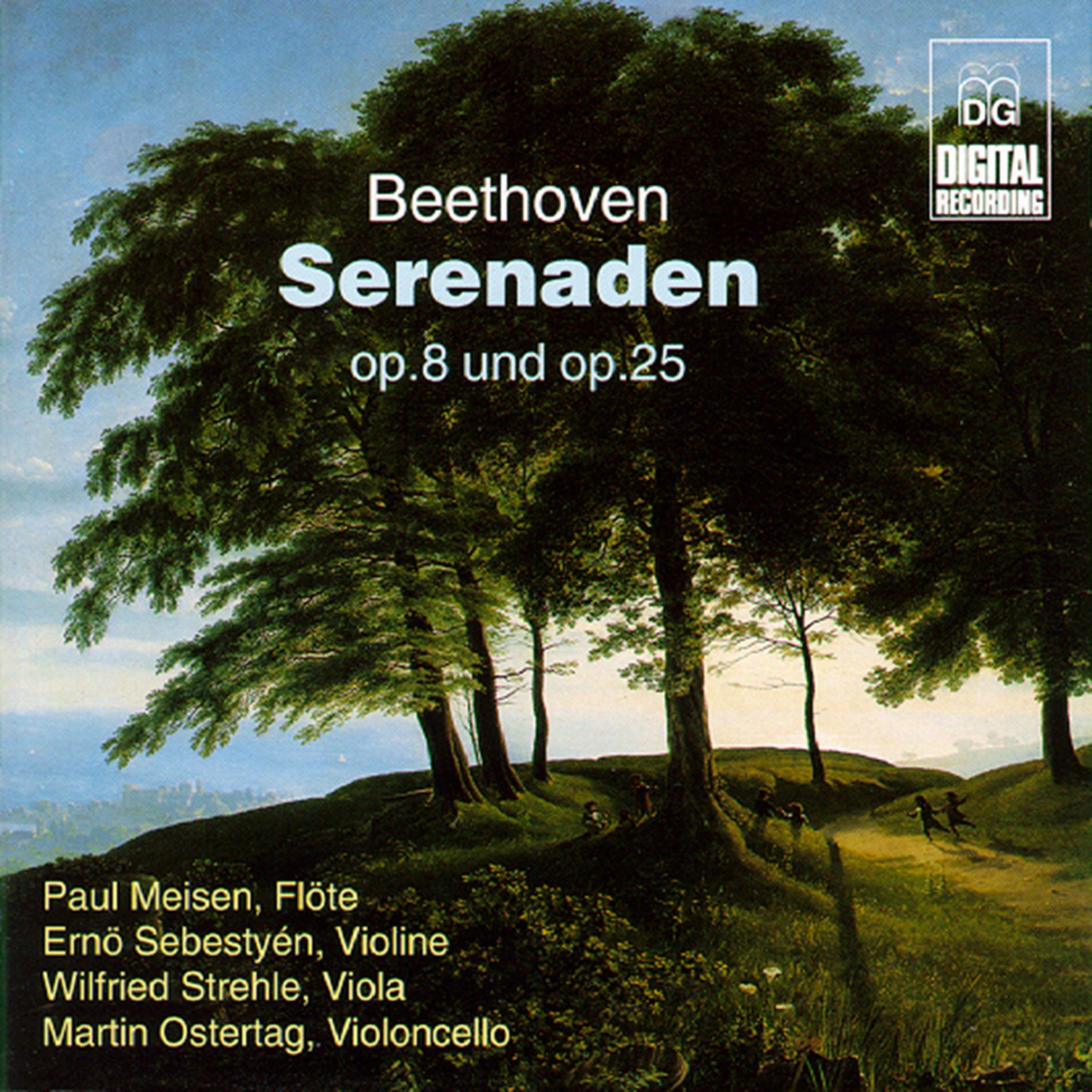 Serenade in D Major, Op. 25: III. Allegro molto