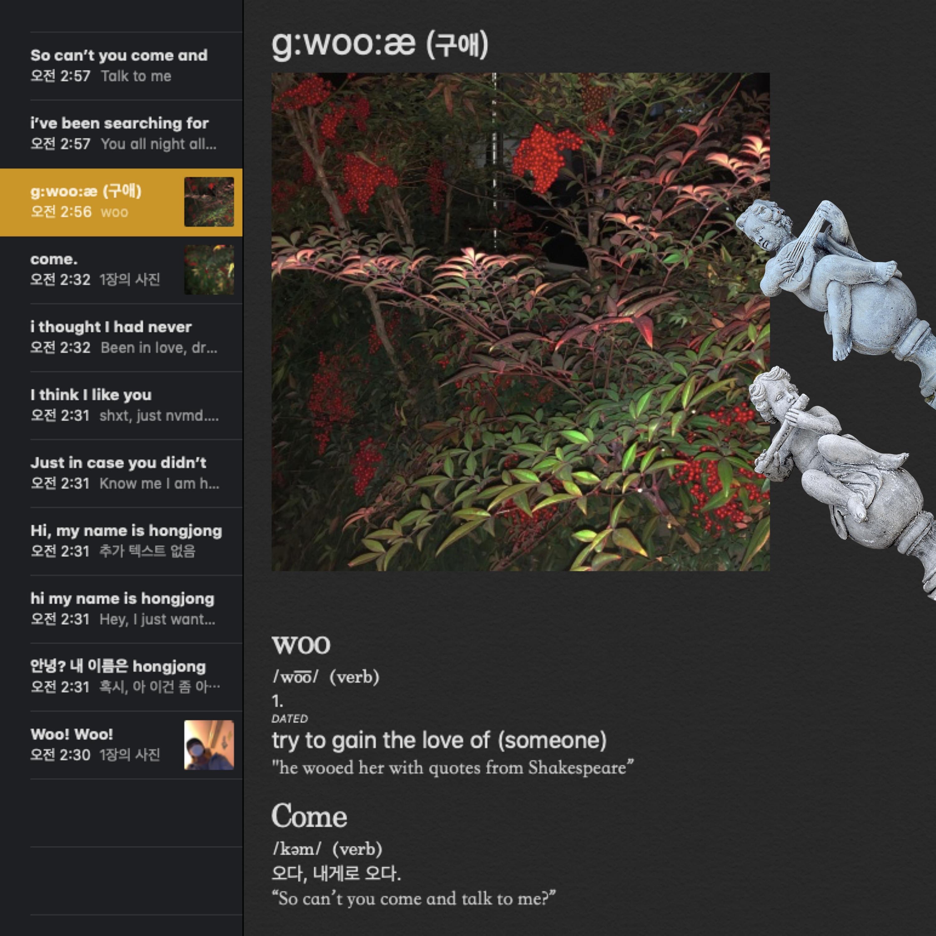 g:woo:æ