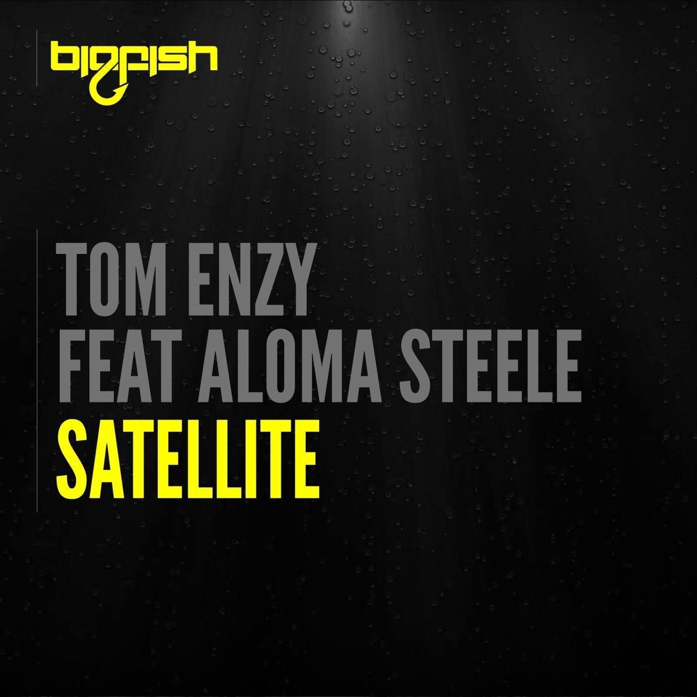 Satellite