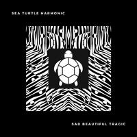 (Taylor Swift)Sad Beautiful Tragic