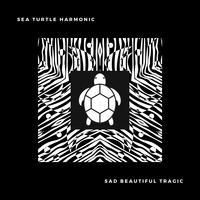 Sad Beautiful Tragic （钢琴版）