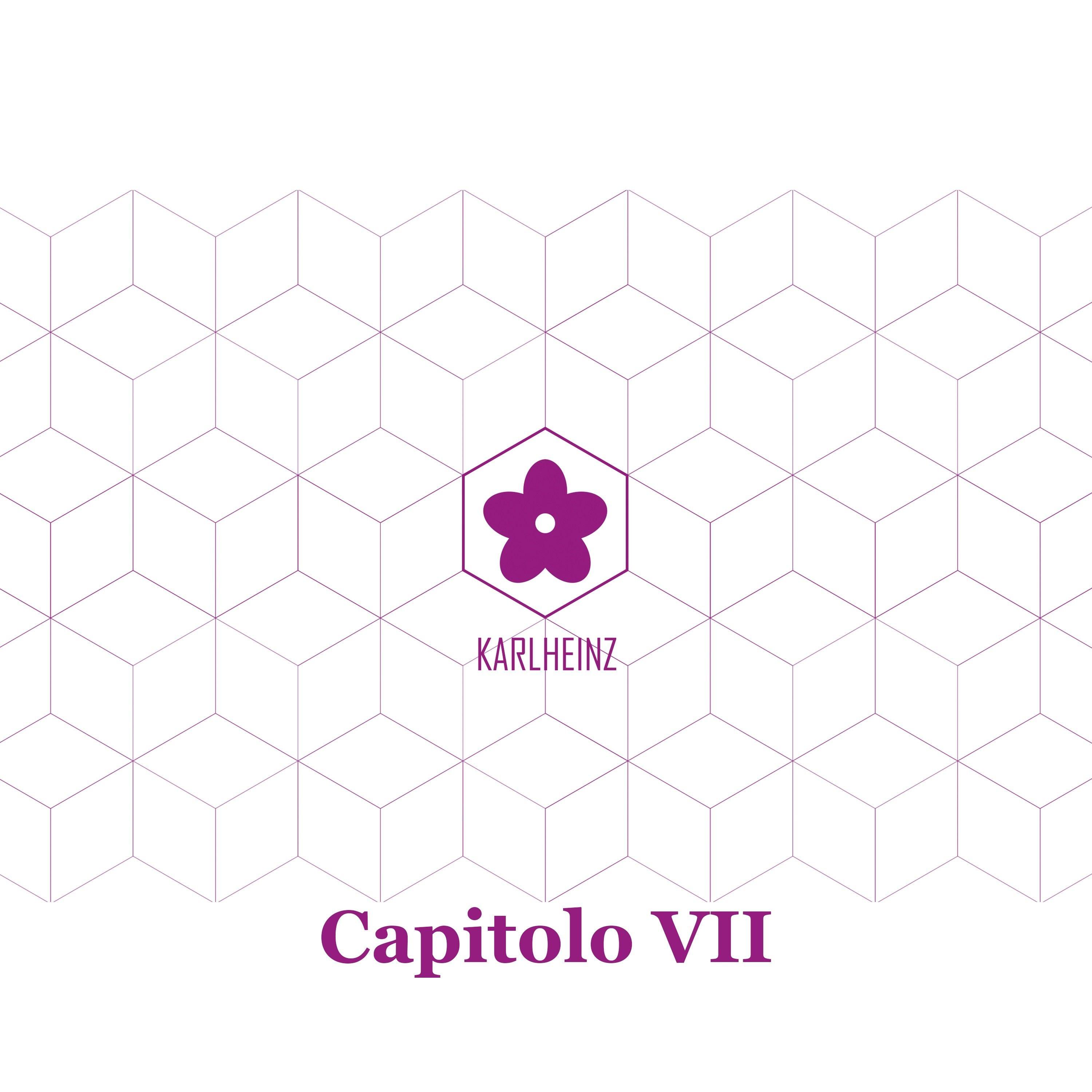 Capitolo VII