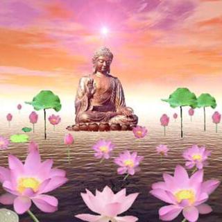 我是佛前的一朵青莲～