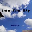 Into The Sky