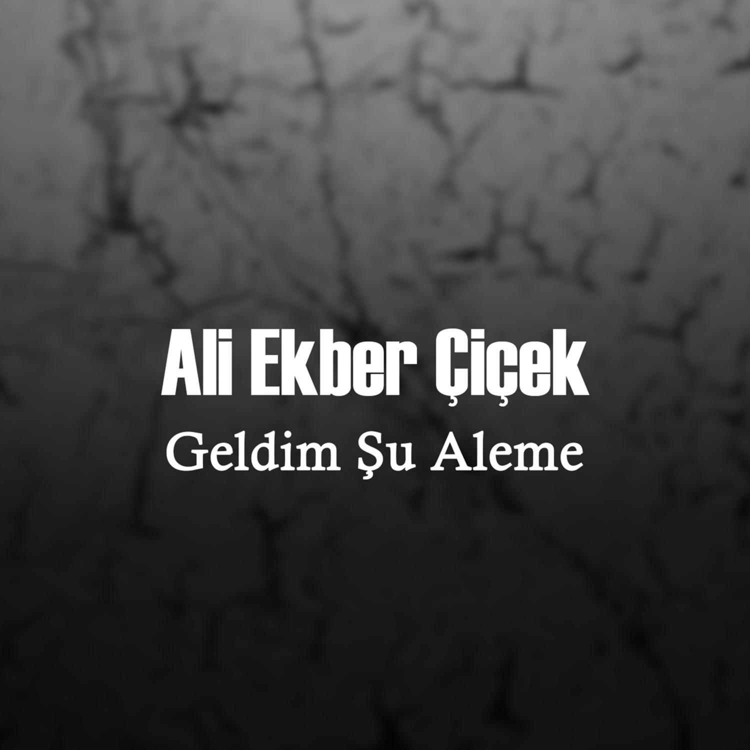 Geldim Şu Aleme
